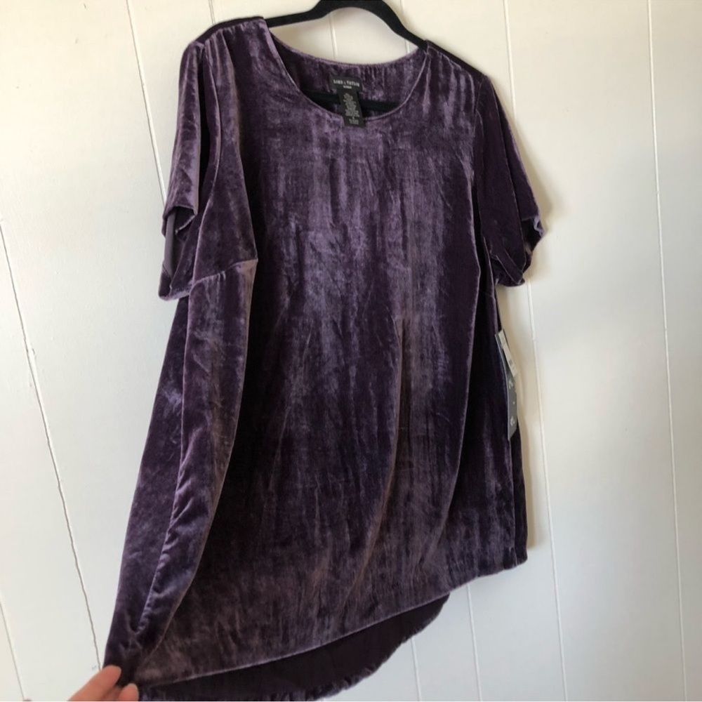 Lord & Taylor Rich Purple Velvet Short Sleeve Top